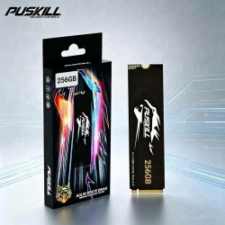 SSD 256 GB PUSKILL...