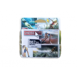 CARTUCHO GNEISS HP 667...