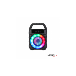 PARLANTE NETMAK NM-TAYLOR...